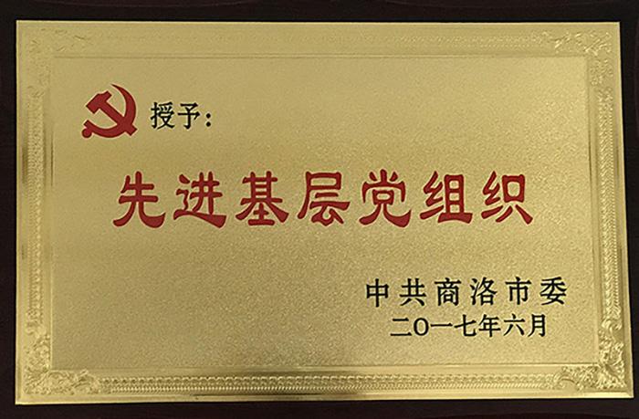 授予：先進(jìn)基層黨組織