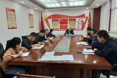 公司第二支部開展&ldquo;戴黨徽、亮身份、亮標(biāo)準(zhǔn)、亮承諾、展先鋒&rdquo;主題黨日活動