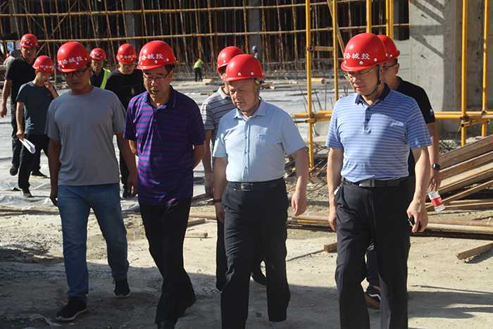 公司領導深入丹鶴綠洲項目檢查指導工作